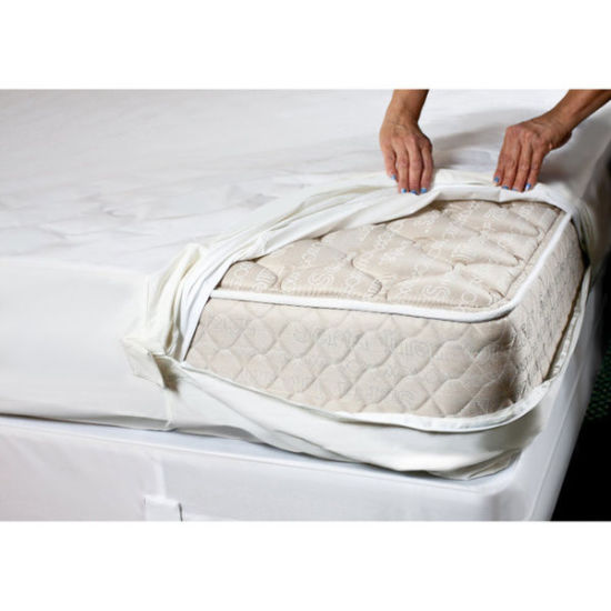Lab-Tested to Be 100% Bed Bug Proof Waterproof Mattress Cover