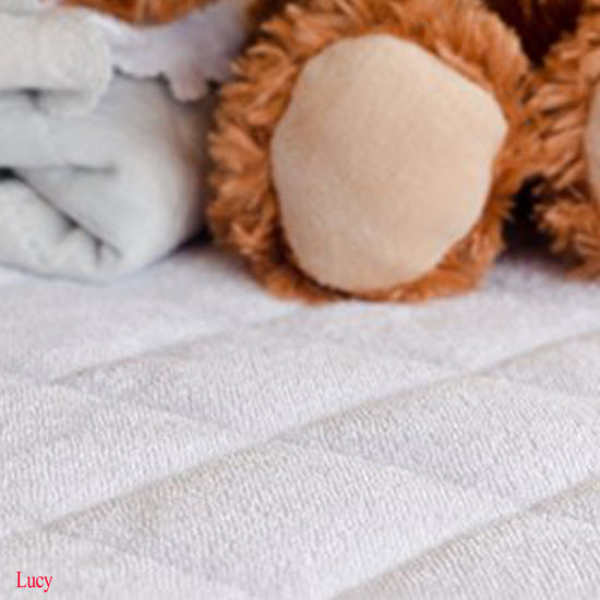 Alibaba Supplier Bed Bugs Waterproof TPU Baby Mattress Protector Cover